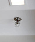 Heavy Duty Stainless Steel Fire Sprinkler Headguards Safeguard 1/2 And 3/4 Inch Recessed Heads protective cage on ceiling