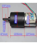 Built Tough 6 Volt Gear Reduction Motor Delivering Knockout High Torque At Steady 24 Rpm For Reliable Car Gate Lock and Heavy Duty Electronic Starter Upgrades Featuring Premium D Shaft Drive, close-up showing dimensions.