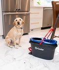 RinseClean Spin Mop And Bucket System For Clean Water Mopping Lets You Clean With Clean Water From Start To Finish next to sitting dog
