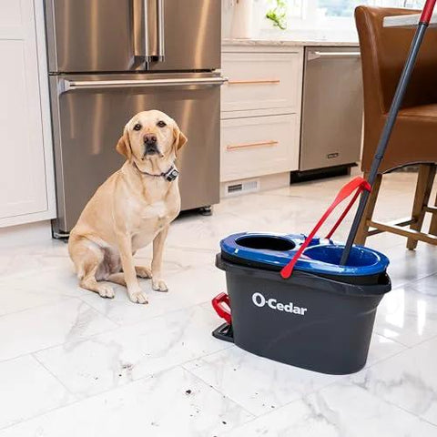 RinseClean Spin Mop And Bucket System For Clean Water Mopping Lets You Clean With Clean Water From Start To Finish next to sitting dog
