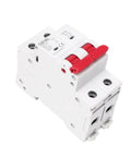 Double Pole DIN Rail MCB 6kA Miniature Circuit Breaker 40A 63A AC Type With CB 230/400V DIN Rail Mount