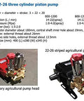 Rugged Heavy Duty Workhorse Three Cylinder Piston Pump For High Pressure Spraying And Smooth Water Transfer Equipped With Auto Relief Valve For Daily Yard Work, showing detailed pump specifications.