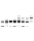 DNA Gel Black And White Throw Blanket Plush Fleece 60 By 50 Inches design detail