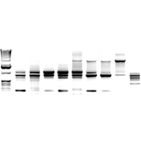 DNA Gel Black And White Throw Blanket Plush Fleece 60 By 50 Inches design detail