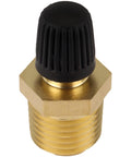 1/4-Inch MNPT Male Tank Valve With Protective Caps Pack Of 2 shown upright with brass finish and black cap