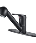 Matte Black Low Profile Kitchen Faucet With Pull Out Sprayer One Handle Design For Bar Sinks Easy Fill And Rinse
