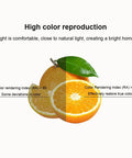 JUDYSSY Vintage Resin Downlight Round Recessed Lighting Housing Trim Kits LED Recessed Lighting LED Round Ceiling Light Kit Ceiling Lights Fixture Or Flat Baffle Trim,Blue-7W showcasing high color reproduction with oranges.