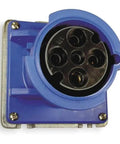 Heavy Duty 60 Amp 3 Phase Iec Receptacle With Low Profile Blue Housing That Screws Directly To Any Wall for reliable power.