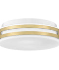 Dope 12 Inch 18W Dimmable Flush Mount LED Ceiling Light with Frosted Glass Shade in Brass Finish 3000K Warm White