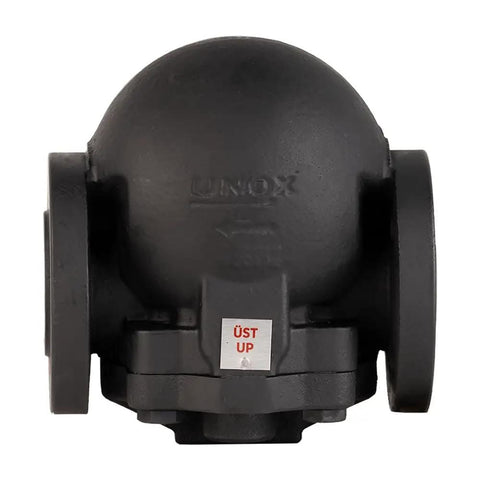 Front view of a DN25 Ball Float Steam Trap With Thermostatic Control ANSI Class 150 Flanged Rugged GG Iron Body And GGG Cover