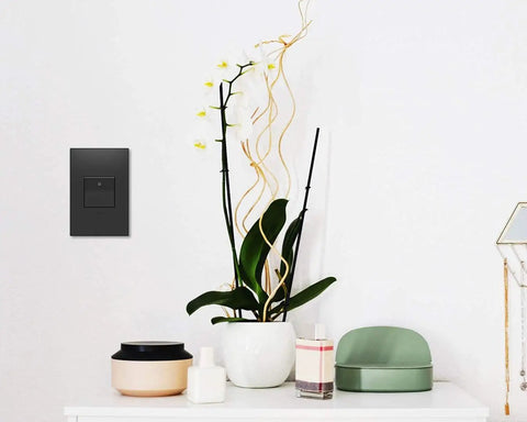 15 Amp Paddle Switch 1 Or 3 Way With Matching Graphite Wall Plate 4 Pack on a modern white wall near plants.