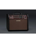 Front view of Gig-Ready Acoustic Singer Live LT 60-Watt Dual Channel Guitar Amp with controls and inputs visible.
