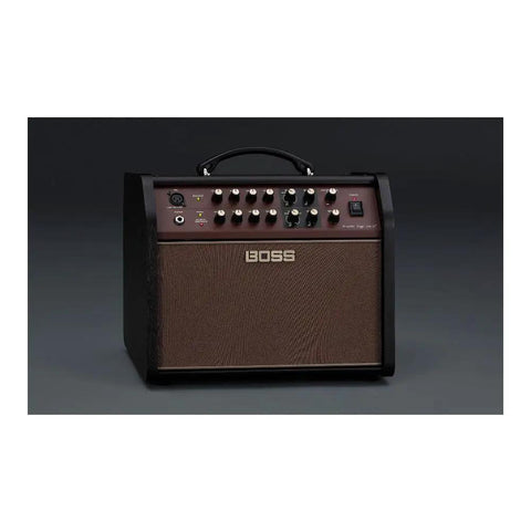 Front view of Gig-Ready Acoustic Singer Live LT 60-Watt Dual Channel Guitar Amp with controls and inputs visible.