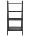 Industrial 4 Tier Metal Ladder Shelf For Books And Plants, Ladder Style Display Rack, Space Saving Shelf, Black Finish
