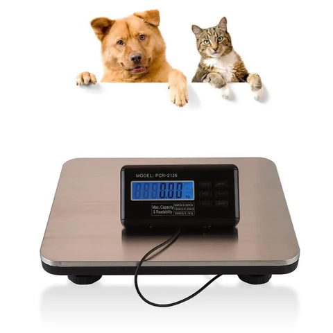 Heavy Duty Digital Shipping Scale With Six Hundred Sixty Pound Load And Smooth Stainless Steel Platform For Real Deal Accurate Parcel Weighing Plus Straight Up LCD Readouts with dog and cat.