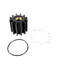 Water Pump Impeller Repair Kit Replacement For Johnson Volvo Penta Yanmar Indmar Jabsco Boats Featuring 12 Blade Neoprene Impeller Gasket And O Ring