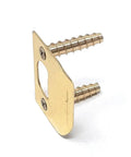 12 Piece Screw Hole Fix Kit To Ditch Ragged Threads And Rescue Saggy Doors Quick Non Messy Cleanup Keeps Your Hinges Running Smooth Like New Super Tough Grip No Sweat Setup Guaranteed gold metal plate with two screws for door hinge repair