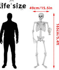 5.4Ft Life Size Halloween Skeleton With Movable Joints For Indoor Outdoor Setup next to human silhouette for size comparison