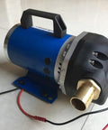Heavy-Duty Tank Engine 60V DC Diaphragm Pump Built Tough For Submersible Sump And Spray Applications with blue body and brass fittings.