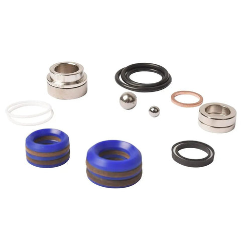 Graco 695 795 3900 Paint Sprayer Pump Repair Kit 248212 with sealing rings and stainless steel balls displayed components