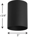 Five Inch Cylinder Outdoor Ceiling Light Modern Flush Mount One Light Aluminum Fixture For Indoor And Outdoor Use Black Finish