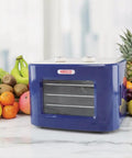 Countertop Food Dehydrator With Four Trays For Whipping Up Dried Fruit Veggie Chips And Snack Batches Features Steady Airflow And Basic Switches on kitchen counter with fruits.