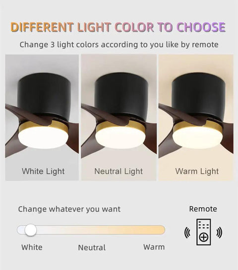 Remote Control Ceiling Fan With Lights Dope Reversible 22 Inch Modern Fan With 18W 3 Color LED Dimming Light options