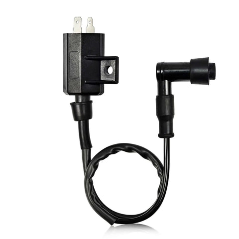 CDI Box Ignition Coil And Spark Plug Kit For Bayou 220 ATV 1988 1989 1990 1991 1992 1993 1994 1995 With OEM Numbers 21119-1226 And 21121-1160 Easy Install And Reliable Performance