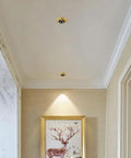 Five Inch Led Recessed Downlight With Tunable Warm Cool White Levels High Cri90 Clarity Rust Proof Brass Body No Sweat Cooling Flow Perfect For Chill Living Spaces And Fast Weekend Install Jobs installed in a ceiling highlighting a wall art.