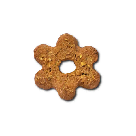 Close-up of a single Blueberry Pumpkin Crunchers Grain Free Dog Treats with Pumpkin as Number One Ingredient.