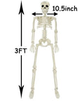 36 Inch Full Body Skeleton Prop With Movable Joints Realistic Plastic Bones shown upright with measurements.