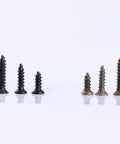 Top Shelf M2 Micro Screw Assortment With Cross Recessed Flat Head Tapping Fasteners In Black Oxide And Bronze, showing various screw sizes.