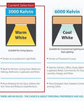 Comparison of 3000 Kelvin warm white and 6000 Kelvin cool white lighting for use in various spaces.