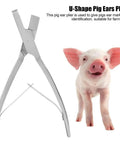 Stainless Steel Pig Ear Tag Pliers For Farm Animals Identification Tool V Shape Lightweight And Durable beside a pig