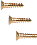 Close-up of No 14 X 1 Inch Silicon Bronze Wood Screws Flat Head Frearson Drive 25 Pieces Built To Last For Woodworking In Hardwood Decks Cabinets