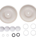 Diaphragm Pump Repair Kit For Graco Husky 1040 Pumps 1 Inch Replacement D07 525 D07525 BL 1D07 525 showing components