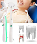 2 Pack LED Dental Mirror With Light For Easy Teeth Inspection, Anti Fog, Curve Angle Design, Bright LED Illumination, ABS Handle, Simple On Off Switch, Ideal For Home Or Office Dental Care, Green, shown with patient