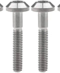 Titanium Hex Socket Bolts for Motorcycle and Bicycle, Hella Durable Fasteners Set with Rainbow Gold Finish, M8x30mm 6 screws displayed