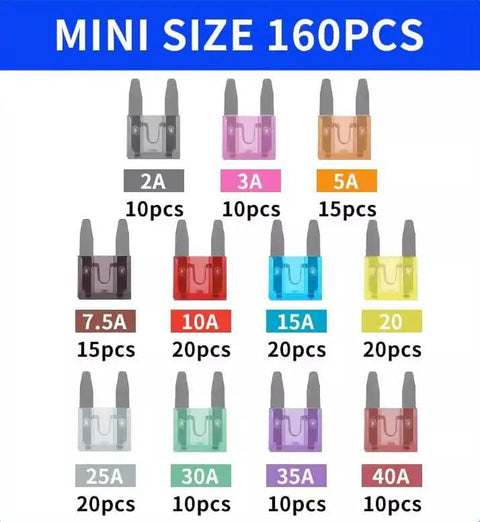 Top Shelf Car Fuse Assortment Kit Featuring Three Hundred Pieces Of Mini Standard And Micro Blades With Amp Ratings Between Two And Forty Including Sturdy Puller For Any Rig Truck Or Boat Gonna Keep You Running Smooth - Mini size fuses in assorted ratings 2A to 40A, organized for quick access.