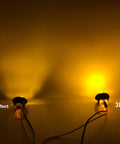 1 LED and 3 LED amber light effect from 50 Pcs Three Quarter Inch Amber LED Marker Lights Kit, Trailer Light Kit, Waterproof 12V DC