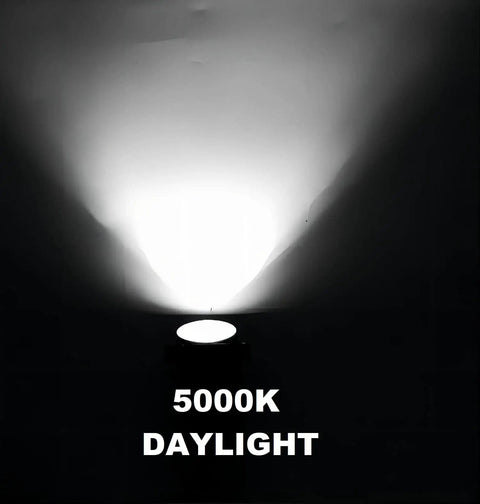 5000K daylight beam from 10 Pack 5W Outdoor LED Landscape Spotlights, 5000K Daylight Brightness For Flags And Gardens, Waterproof Low Voltage