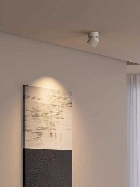 LED Ceiling Spotlight Indoor 7W Black Pivoting Slick Accent Light Fixture With 340 Degree Rotation illuminating wall art.