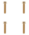Fresh Gold Titanium Handlebar Clamp Bolts And Brake Clutch Perch Screws, four screws, aerospace titanium, durable design.
