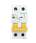 Rock Solid Heavy Duty 2 Pole DC Circuit Breaker With C Curve For 600 Volt Systems Delivers Straight Up Superior 6000 Amp Protection On 35 MM DIN Rail
