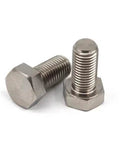 Top Shelf Pure Titanium Hex Head Bolts M10 Flat Head Machine Screws Assorted Lengths Set Of Ten showing two titanium hex bolts close-up.