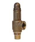 Merrill PRVHDNL100 1-inch no-lead brass pressure relief valve contractor-grade 75 psi cold water systems