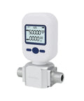 Digital Air Flow Meter One Quarter Inch NPT 0 To 20 Liters Per Minute And 0 To 250 Liters Per Minute Gas Mass Flow Meter With LCD Display