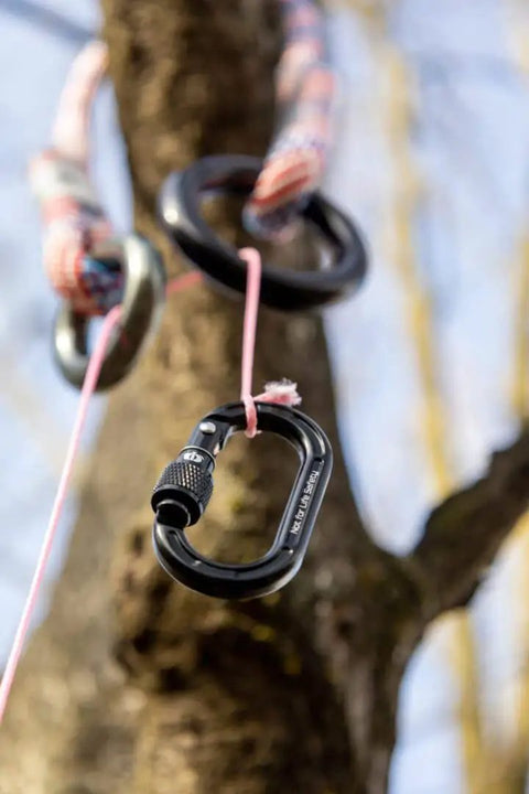 Mini Aluminum Keylock Screw-Lok Carabiner For Throwline Setup And Gear Mounting, black carabiner attached to tree, side view