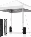 Instant 10x10 Pop Up Canopy Tent With Easy One Push Setup, silver white tent, frame, stakes, ropes, carry bag visible