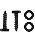 Premium Stainless Steel Black Lag Bolts Set 25 Pieces One Quarter Inch By 1 Inch Hex Lag Screws With Washers Included Built To Last For Decks Fences And Wood Projects, showing two screws and washers.